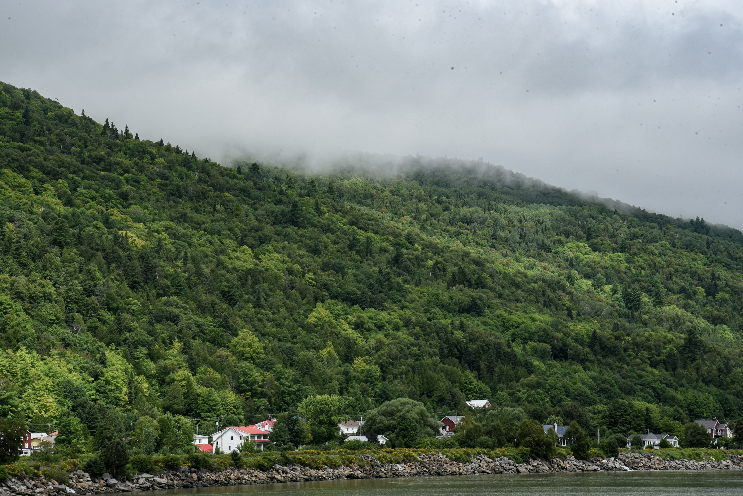 Montagne forestière de Charlevoix descendant vers le fleuve Saint-Laurent